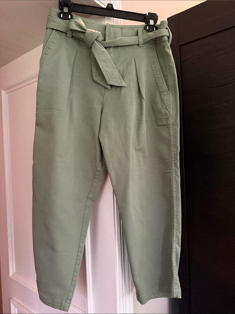 High-Waist Tie-Belt  Petite Pants in Sage Green 8p